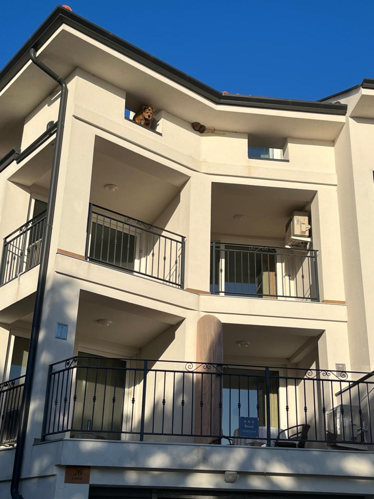 Apartments Amore Baška Dış mekan fotoğraf