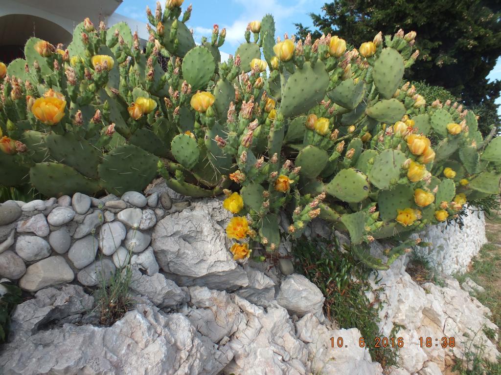Apartments Amore Baška Dış mekan fotoğraf